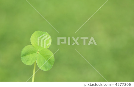 Mitsuba的三葉草 4377206