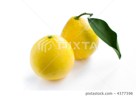 日向夏天 4377396