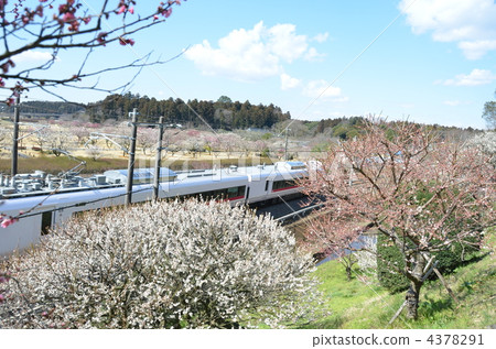 Kairakuen和火車 Kairakuen和火車 4378291