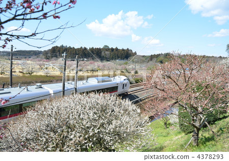 Kairakuen和火車 4378293
