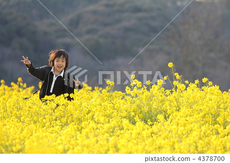 強姦花田和盛開的男孩 強姦花田和盛開的男孩 4378700