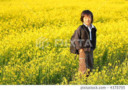 強姦花田和盛開的男孩 強姦花田和盛開的男孩 4378705