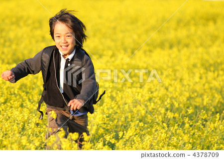 Rape flower field and boy in full bloom 4378709