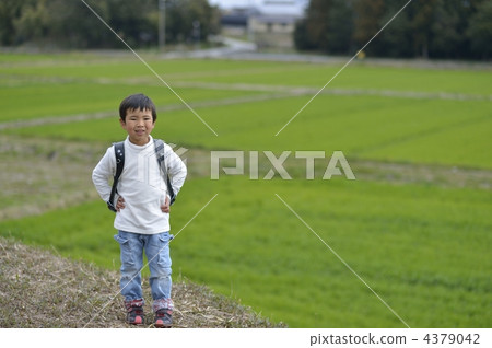 school bag school bag 4379042