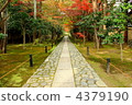 Rokuoin 4379190