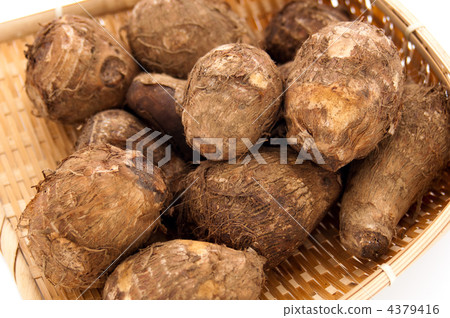 Taro Taro 4379416