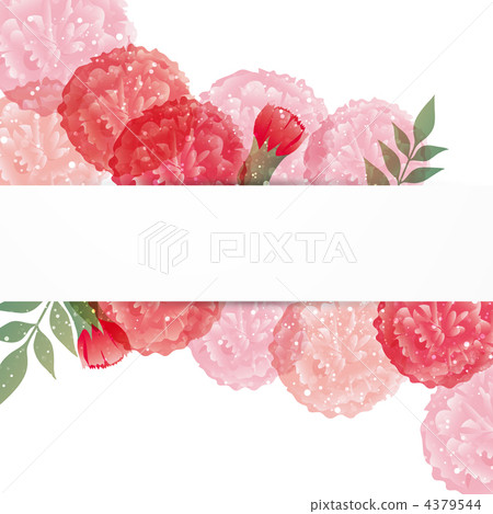 carnation, carnations, flower 4379544