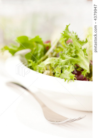 fresh salad fresh salad 4379947