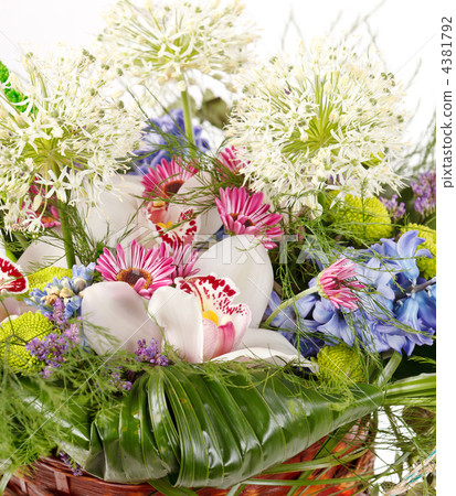 beautiful flowers in the basket beautiful flowers in the basket 4381792