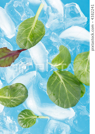 ice and leaves ice and leaves 4382241