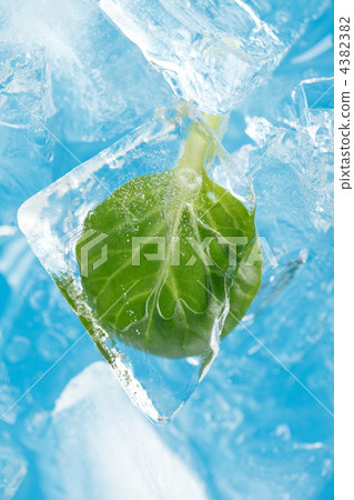 ice and leaf ice and leaf 4382382