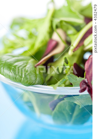 fresh salad leaves 4382479