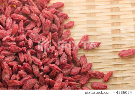 幹枸杞子 幹枸杞子 4386054