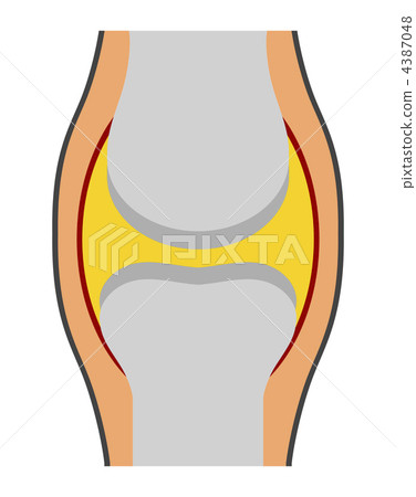 膝關節圖 4387048