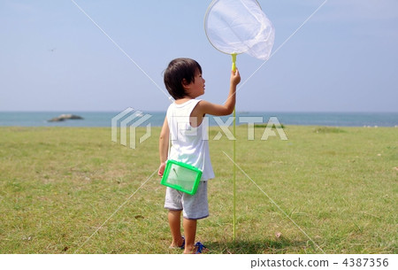 夏天的孩子 4387356