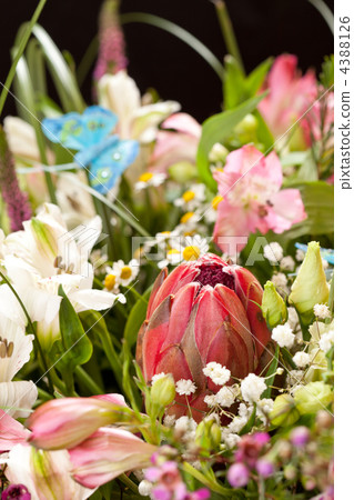 bouquet of colorful flowers bouquet of colorful flowers 4388126