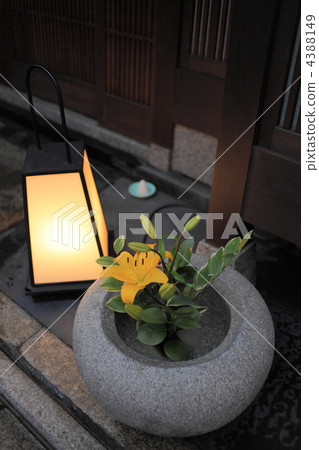 Yuri in a water pot 4388149