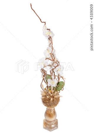nice flowers nice flowers 4389009