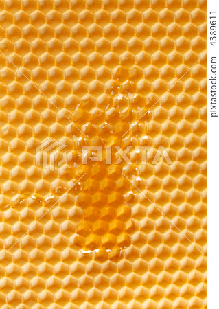 fresh honey in comb fresh honey in comb 4389611