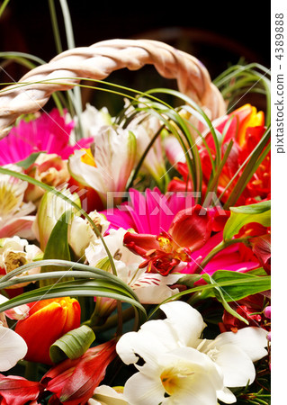 beautiful flowers in the basket beautiful flowers in the basket 4389888