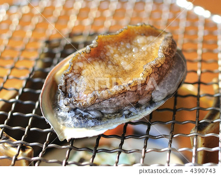 ear shell, abalone, grilling 4390743