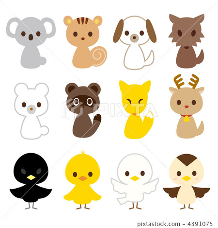 12 types of animal birds 4391075