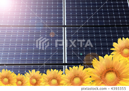 Sunflower and solar panel Sunflower and solar panel 4393355