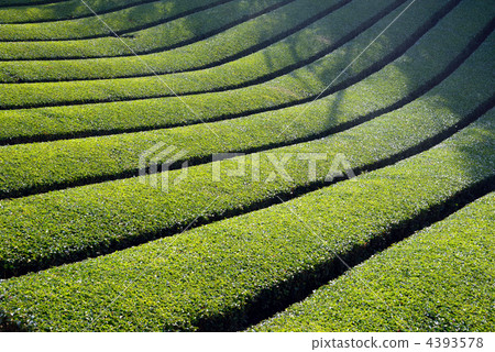 Teahouse in Tsukigase 4393578