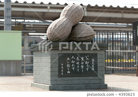 千葉縣八街市 JR 八街車站的花生紀念碑 4393623