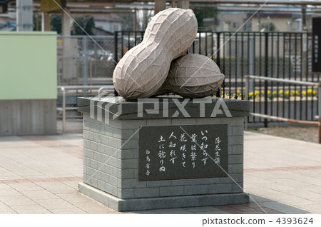 千葉縣八街市的花生紀念碑 4393624