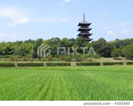 岡山Kibiji六本木國分寺五層寶塔 岡山Kibiji六本木國分寺五層寶塔 4393893