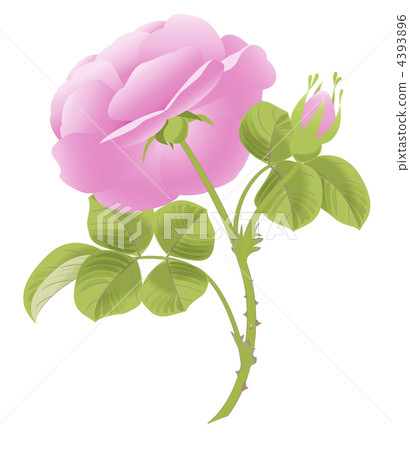 Meissen style pink rose upside down Meissen style pink rose upside down 4393896