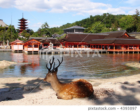 Miyajima Itsukushima shr 4393897