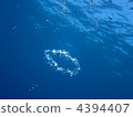 泡泡圈 海底的 海裡 4394407