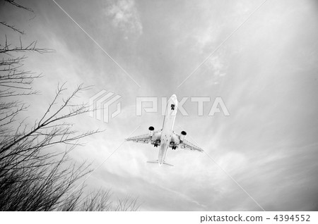 馬車 乘 騎 4394552