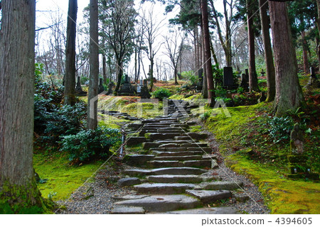 Road leading to the cemetery (Rensenji / Niigata prefecture Joetsu city) 4394605