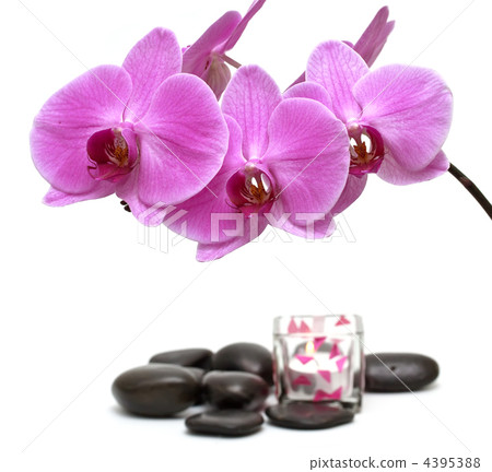 Pink orchid and zen Stones with a candle 4395388