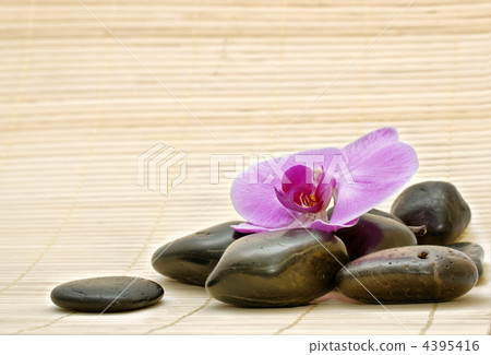 Pink orchid and zen Stones Pink orchid and zen Stones 4395416