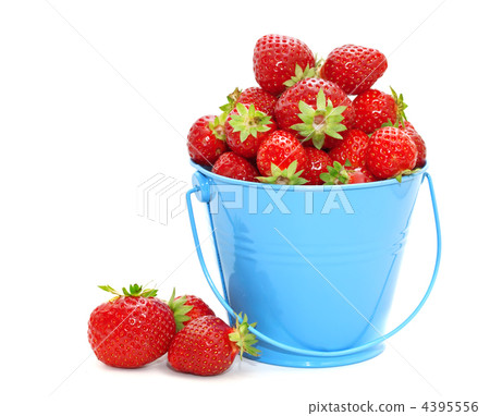 Strawberries in a bucket on a white background. Strawberries in a bucket on a white background. 4395556