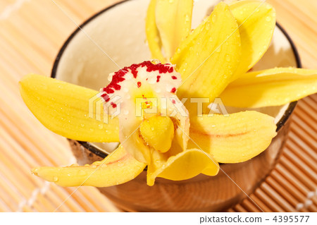 spa concept spa concept 4395577