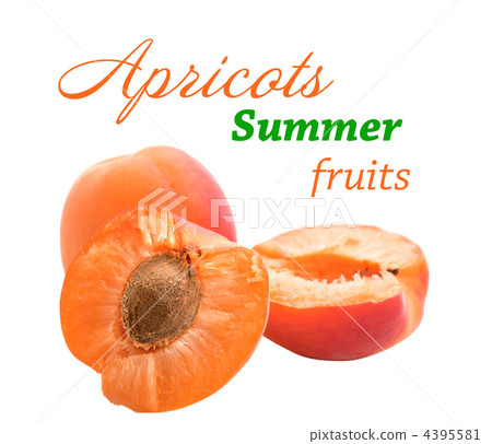 apricot on white background apricot on white background 4395581