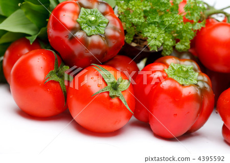 fresh vegetables fresh vegetables 4395592