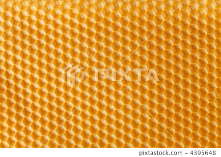fresh honey in comb fresh honey in comb 4395648