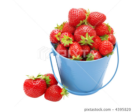 Strawberries in a bucket on a white background. Strawberries in a bucket on a white background. 4395820