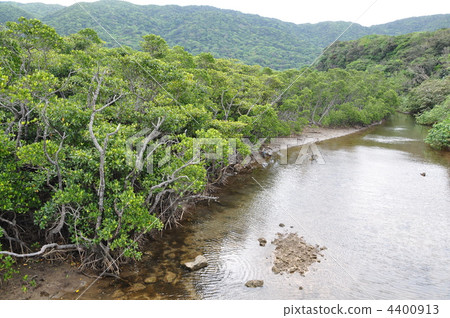 福井河Hirugi社區 福井河Hirugi社區 4400913