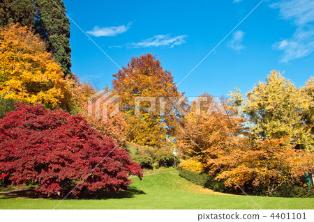 Beautiful rural landscape Beautiful rural landscape 4401101