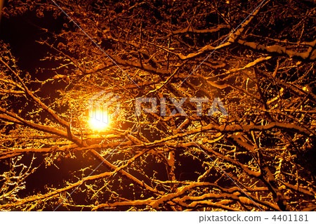 Night landscape with snowfall for your design. 4401181