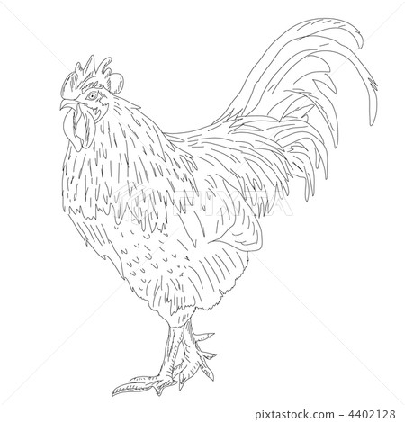 Proud Rooster - Retro Ad Art Illustration 4402128