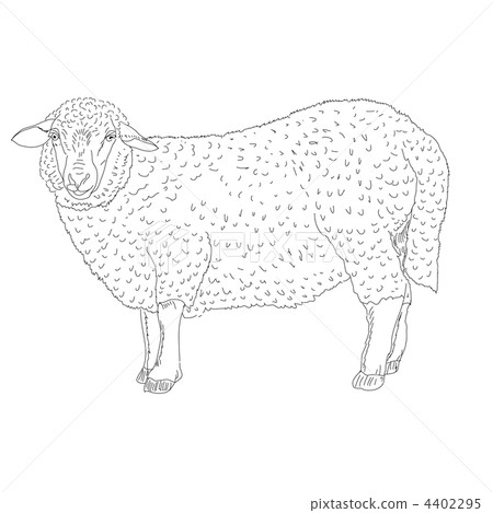 sheep painted by hand 4402295