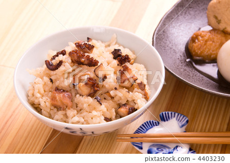 octopus rice  4403230